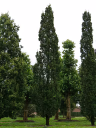 a755814a761666ce96d5b74f68459178