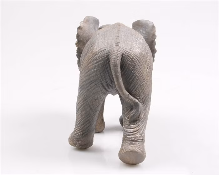 a7706643566e82bad4958d16e3d0c22b