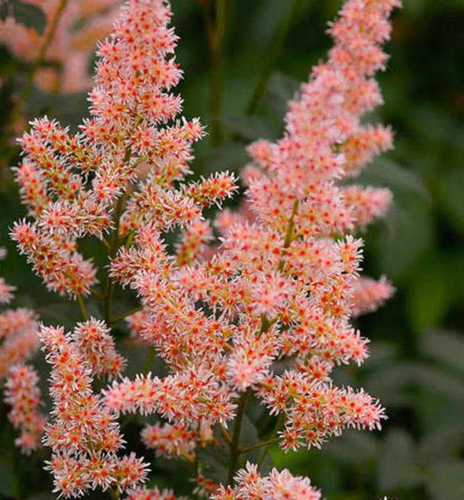 a7a6f002c4f97136e0299e0008e29793