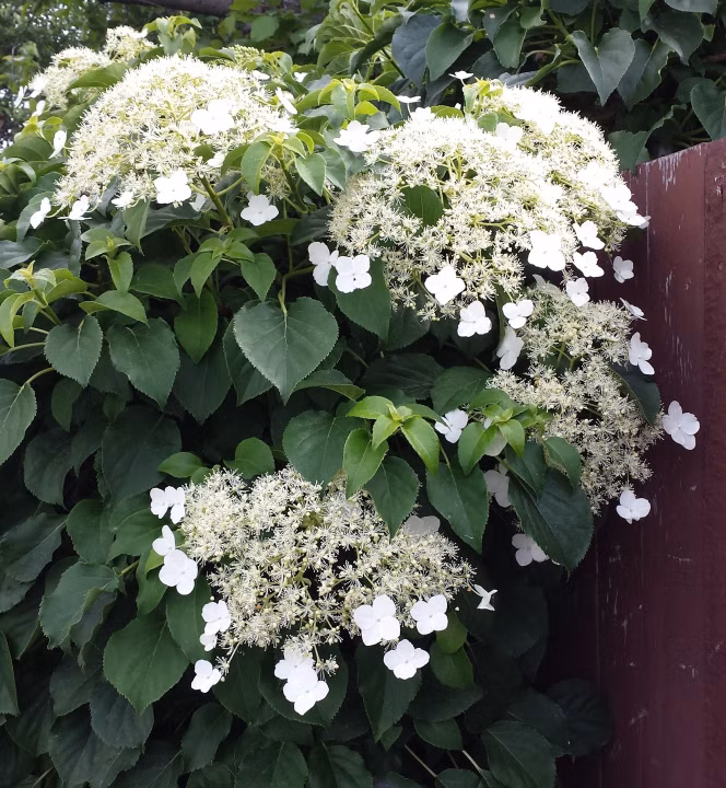 a7bd70fa9691387f1e646464aeacd9e3