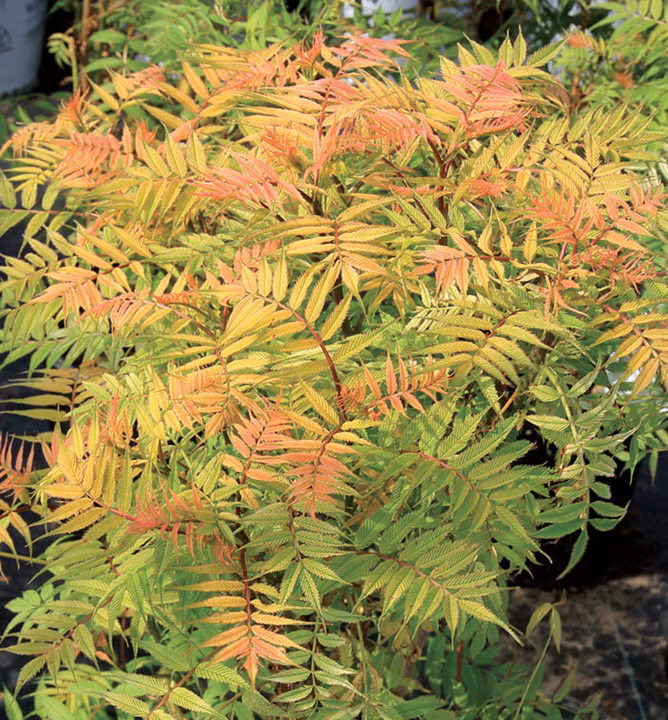 a7c22811510bf301110e241e13396ef4