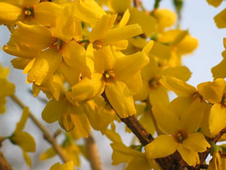 a7da33fc934e8e22bb38a88b86f25d35