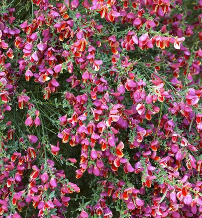 a7e0a7f61d446c8efd4a839e85017073