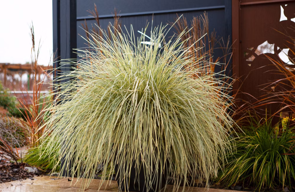 a7e1854a0919b84ac502116226349062