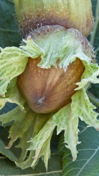 a8250d637ba1f036d418b840e1066f34