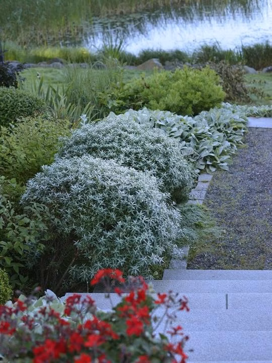 a8683d27f1632442729259b50e94092f