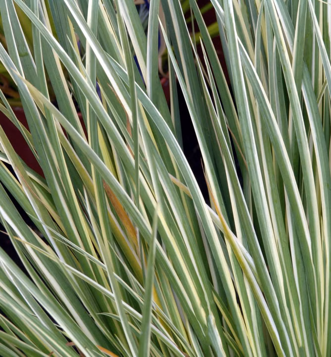 a89651590f08ddcd4442f089239df9ef