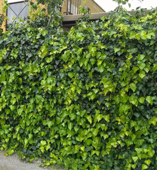 a8d2c652629fe160a97e461e63969f4d