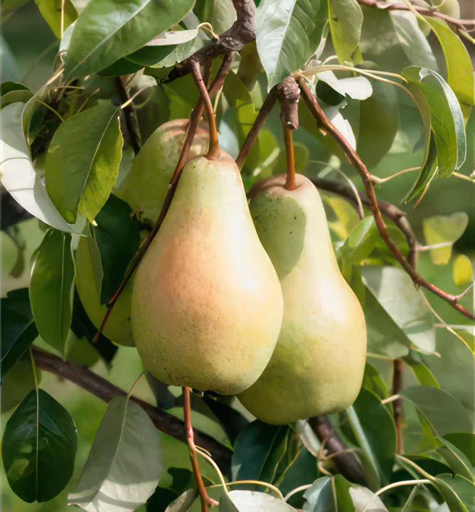 a8da44b8b5c2d89d372414949c68b1b1