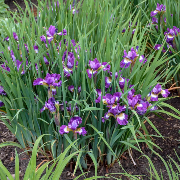 a901c419064dcfbd7d904f5d097bd2f5