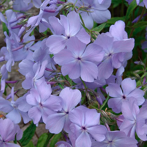 a926180637d415426389ee6e3c7a066d