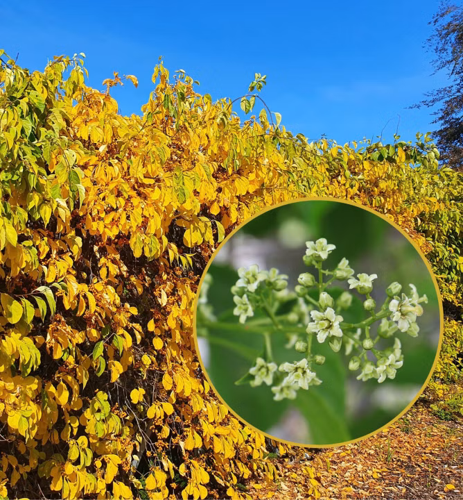 a93307aa4659c627e493fbb490a7a08f