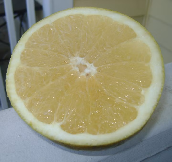 a945fa325fd1822b58fa0843c282e46b