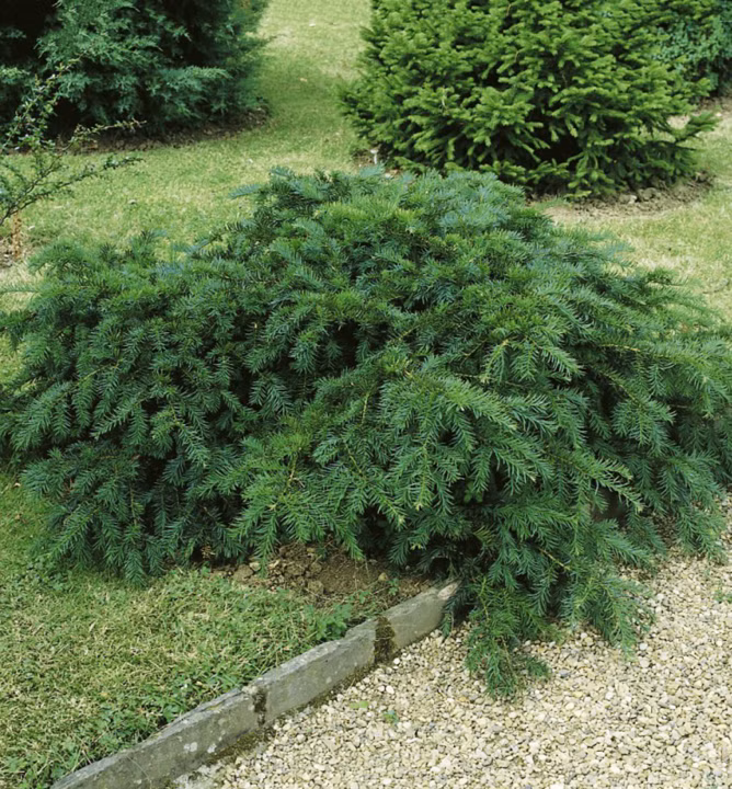 a96009d1f7be5c6a6910e2b141ab83cd