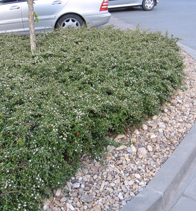 a96b4bb01baf58baeb8f73ad2b94551c