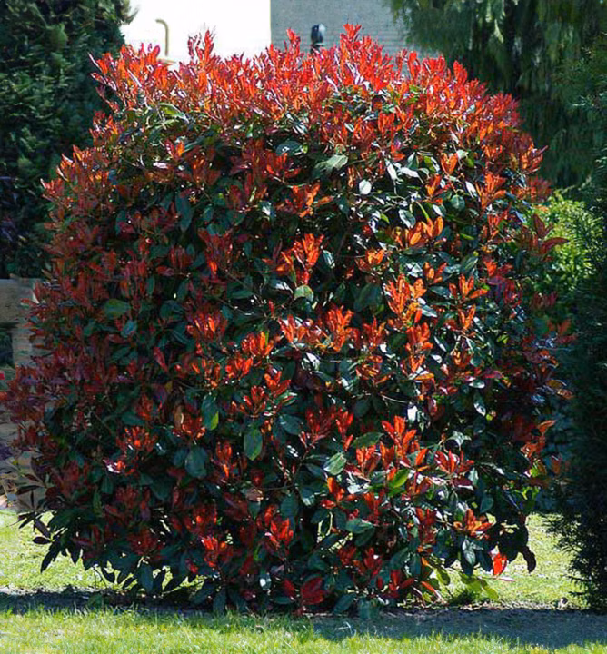 aa0089a97f9647ff9d9c4900a2e4d1e4