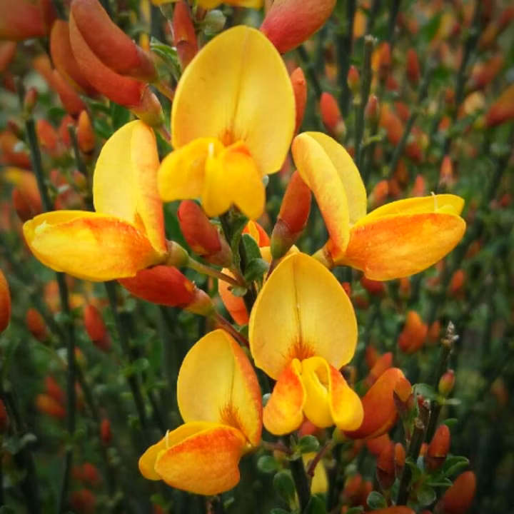 aa142f01b486a19cffe8b27232a44039