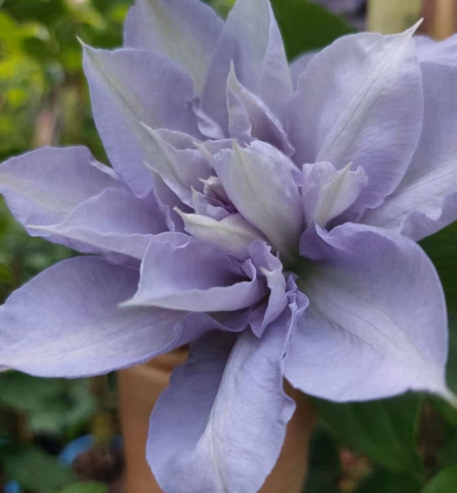 aa3eddfd52607a436f68042fffe07c8b