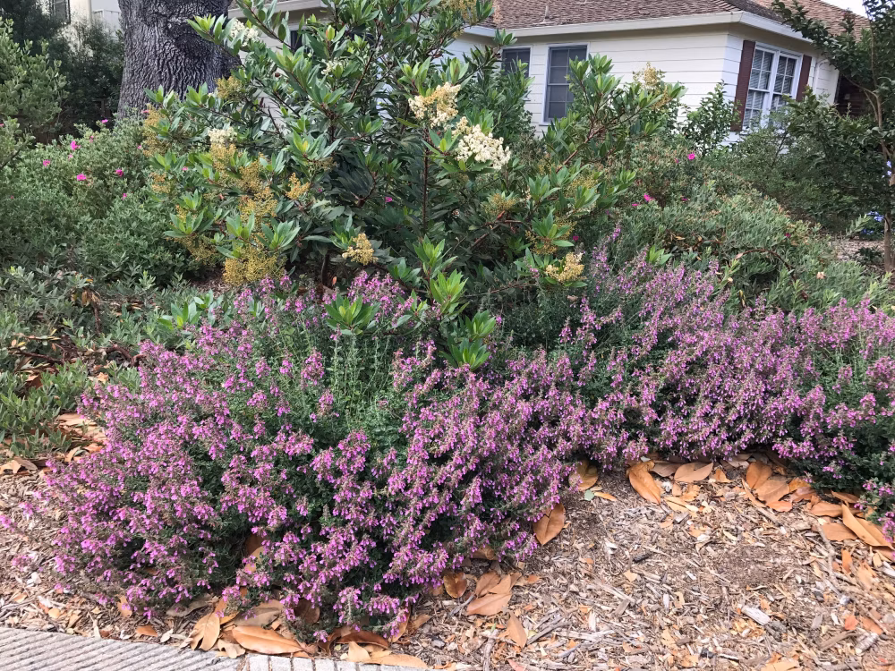 aa76b07db4cf49d4275d13a7a57a86a9