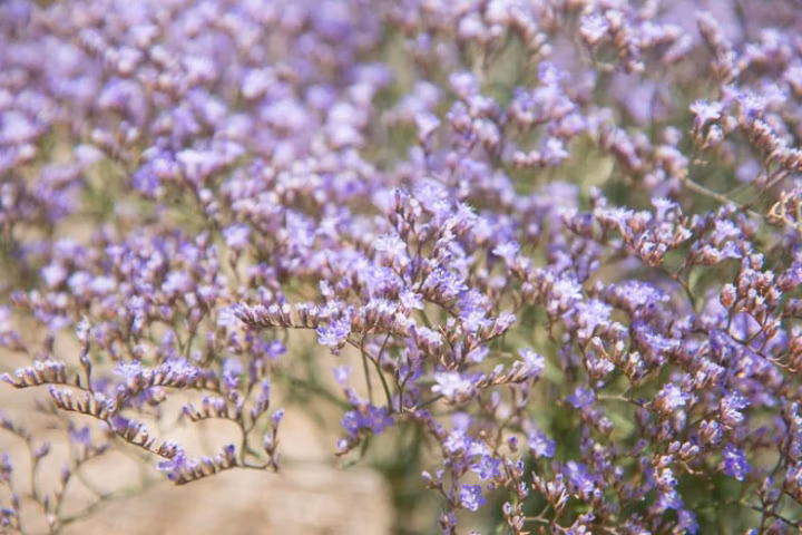 aa9bfa47c8c1d66f32a77c2efc12149e