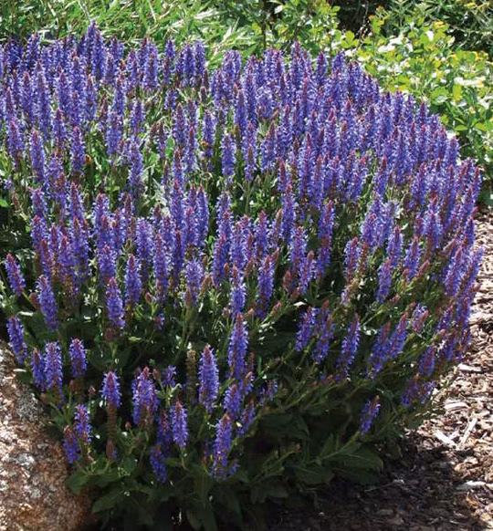 aab6ce5a9b711599c0f95ff9a7afeda0