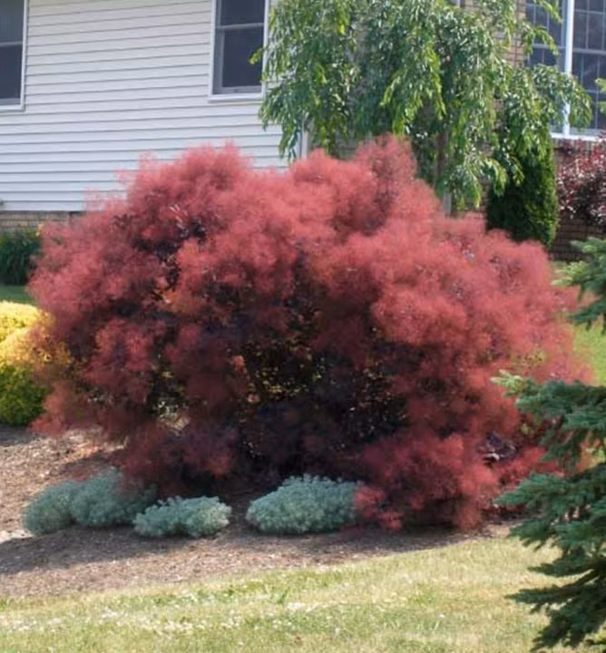 aaf76c9642041e503ee16d0ab9df7322