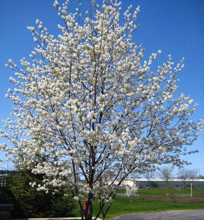 ab2014bb61862bbf2ae1a96ab832a5a6