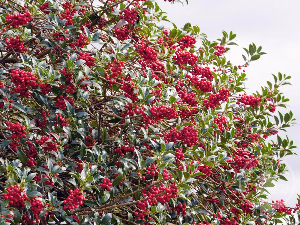 ab7e1bc51d8630cf89de478b488feda0