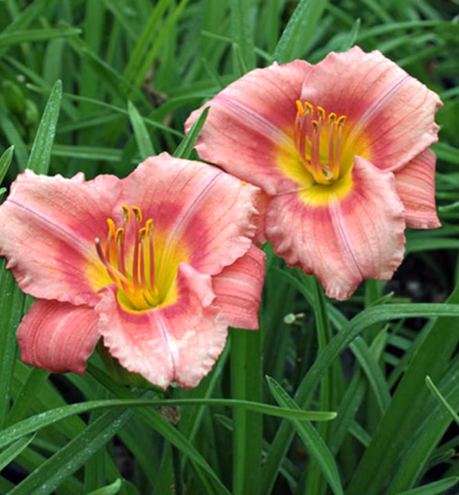 ac34ef02e3f9ffb5477b5f8aefa7f307