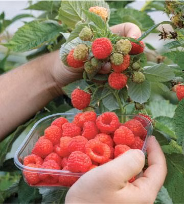 ac4144880448e4709434cc311d7ed531