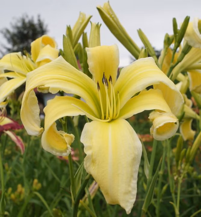 ac603b03ae5db673c25304bf25c3b881