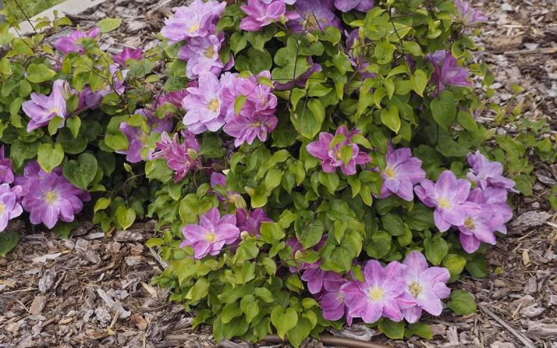 ac63e0f905ab86ea557e90532b8fd8b6