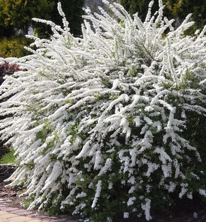 ac7d14cdc726098f8b07a9368deca2e2