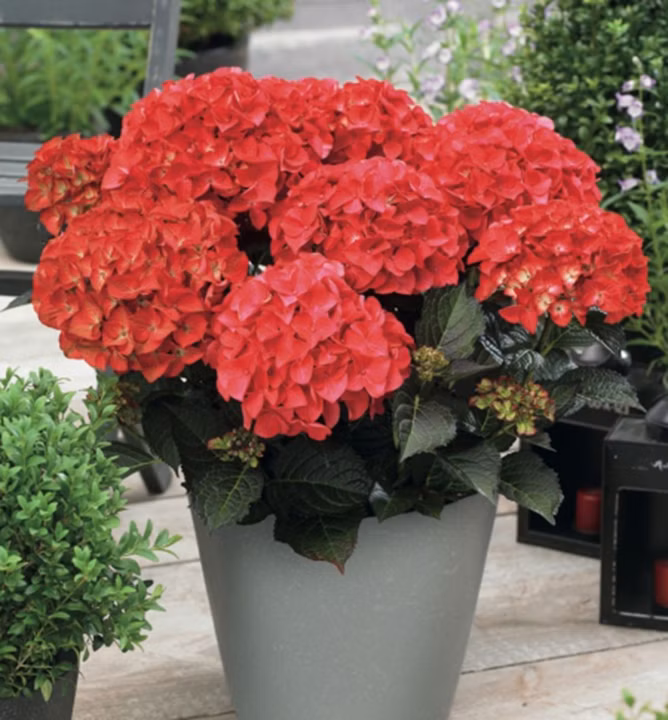 ac9b206cb15571f80369b36c18f57e20