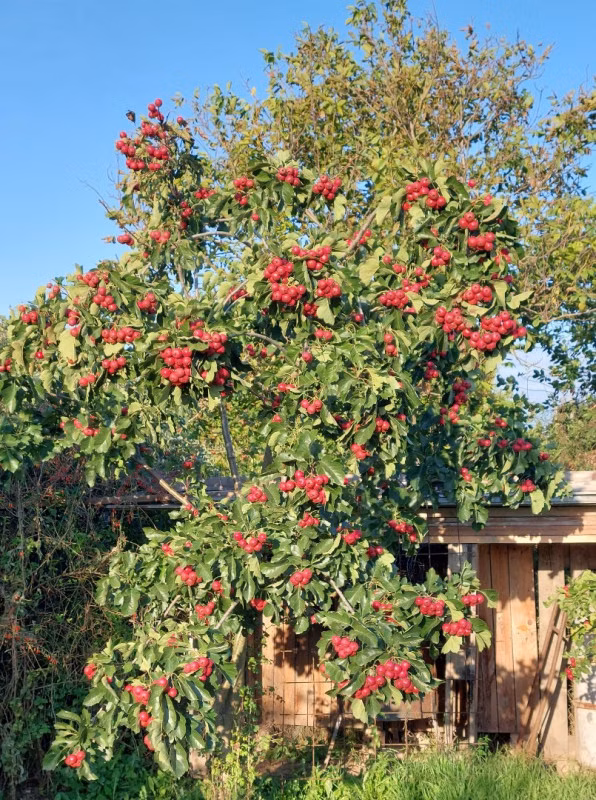 acd79d7525f8849b3e19e6ccb24d2a8c