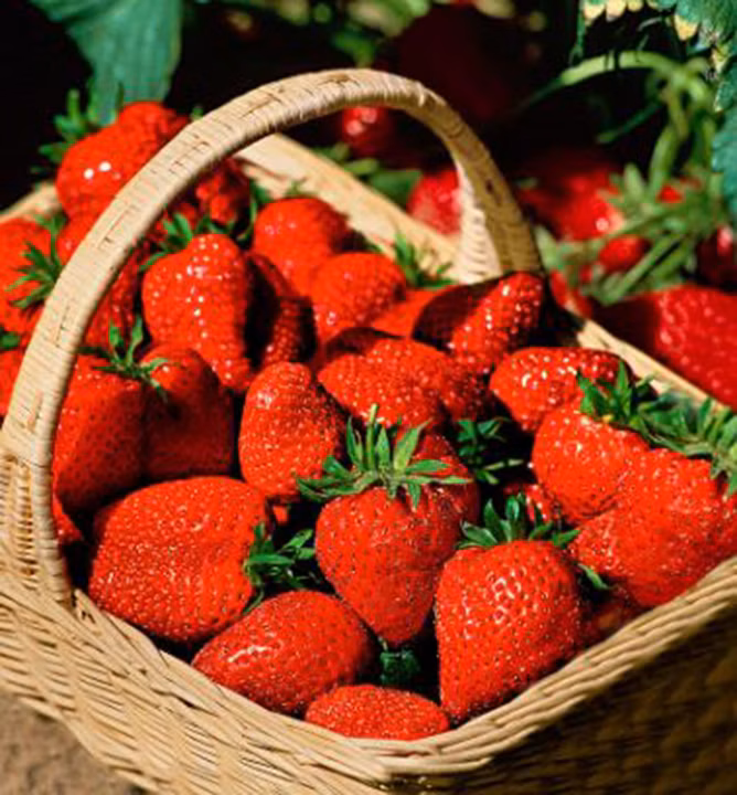 acf7a070afee6abea88ce7b35a6de006