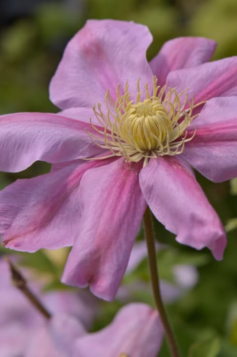 acfcec757a760e4ac99709c08126abf5