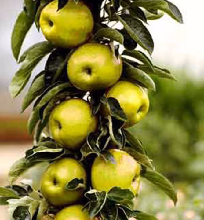 ad163ccf25506e730b929232df7e2680