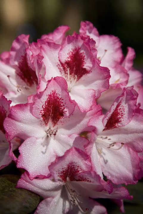 ad1de34764f53ee633accfdf9a2f0af0