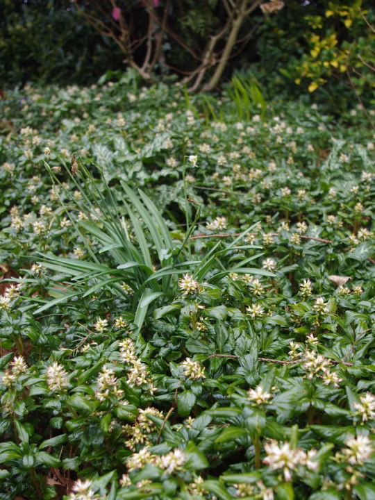 ad329091b8e2b85f4cda48907be85da2