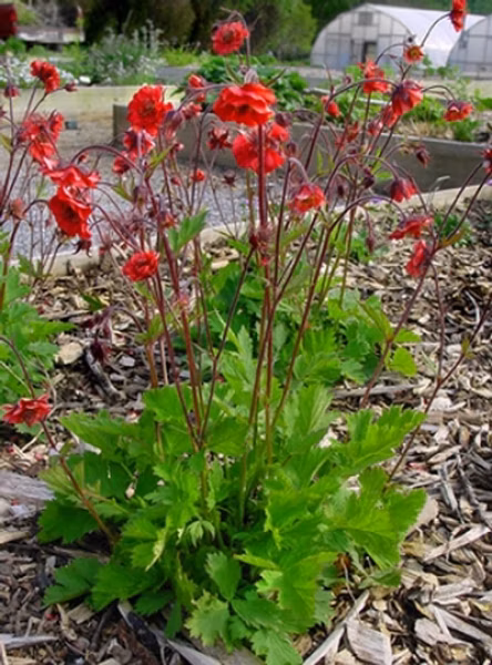 ad5170c7249fe0219985f6215ecc5018