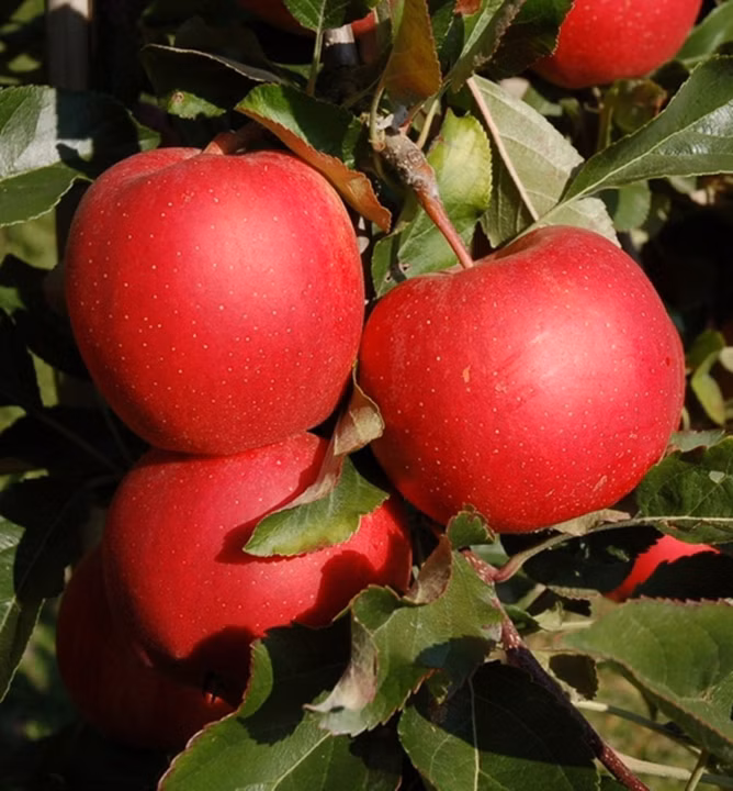 ad5442f83c1d265f7e01ca42fa04a5fa