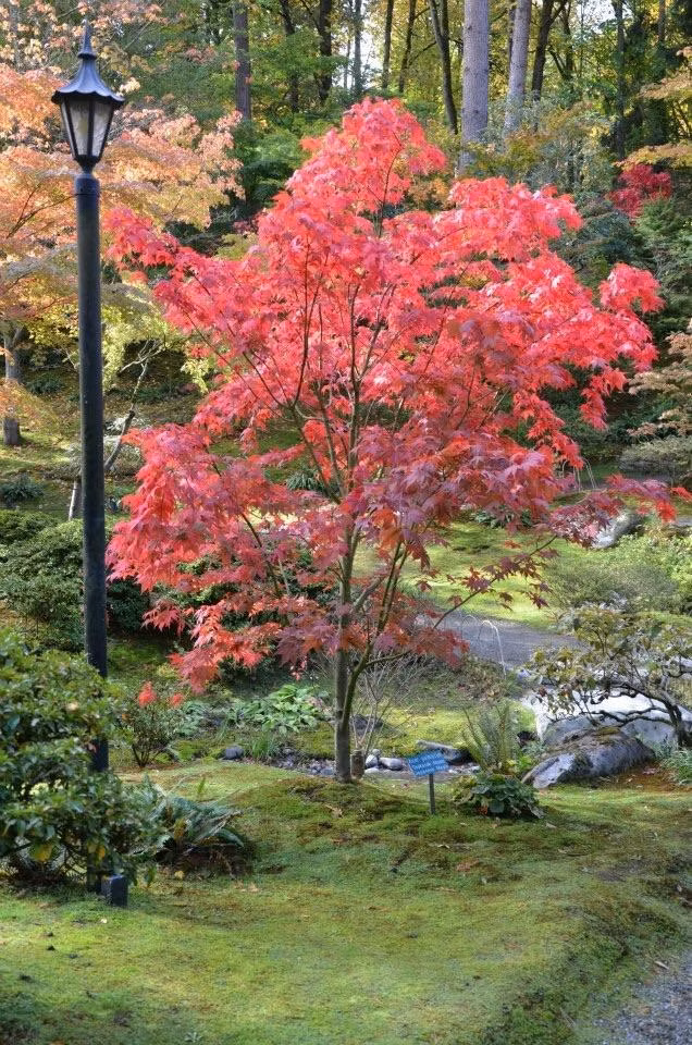 ad5f8b45f1279cbd9f30b7097d2a5c5d