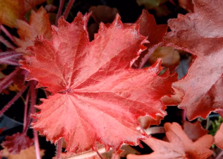 ad7d6a2637eb2fc938b1174816ac7dd1