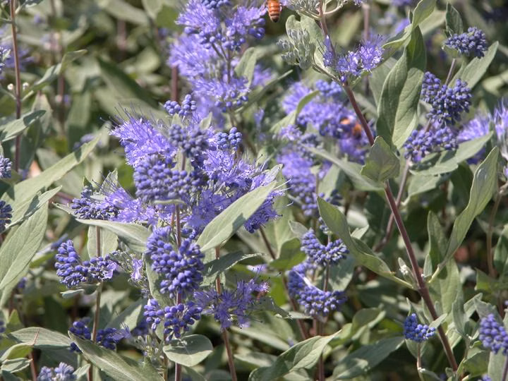 adc58f74ea41fb562fc5bbeb5e94683a