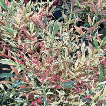 addc83e3b3c12494607fc30de4bc6a65