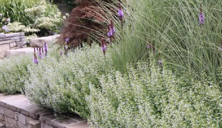 ae1a7cfb11f20edb6faaa57c0f26f245