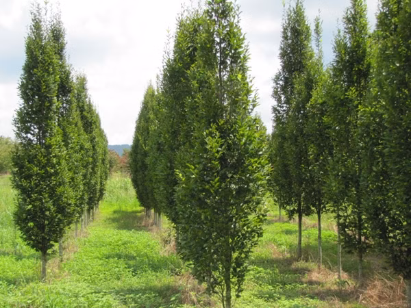 ae23c5671c5be0c33ee9641c2f598830