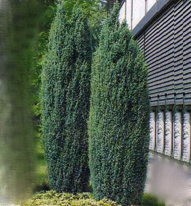 ae4d00a293711e53ef376597139000fb