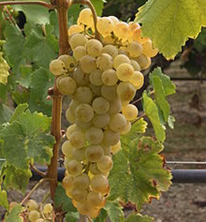 ae56f7b7955bd941f8dbbee9ecf2d7b5